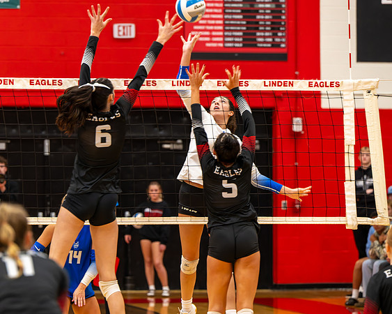 VB_LF_Linden_102325_G (47 of 259)