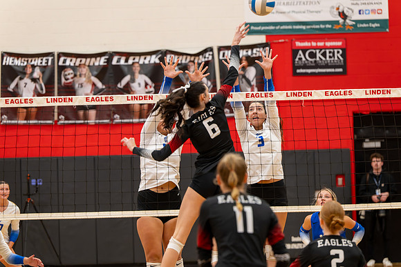 VB_LF_Linden_102325_G (46 of 259)