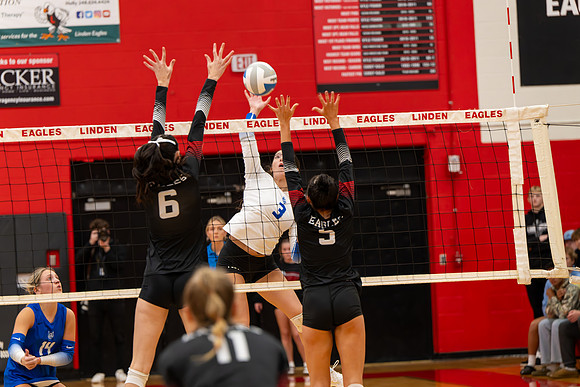 VB_LF_Linden_102325_G (48 of 259)