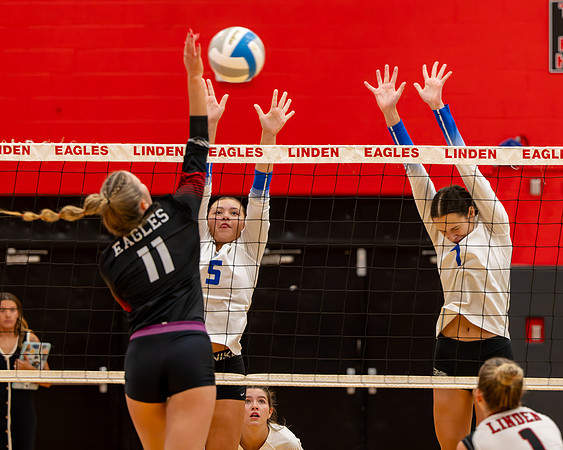 VB_LF_Linden_102325_G (50 of 259)