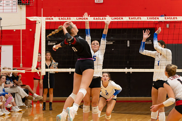 VB_LF_Linden_102325_G (49 of 259)