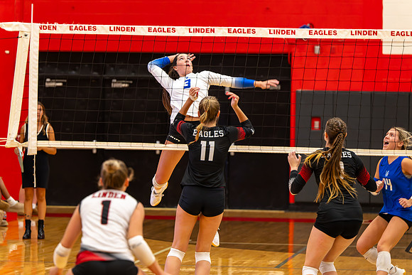 VB_LF_Linden_102325_G (51 of 259)