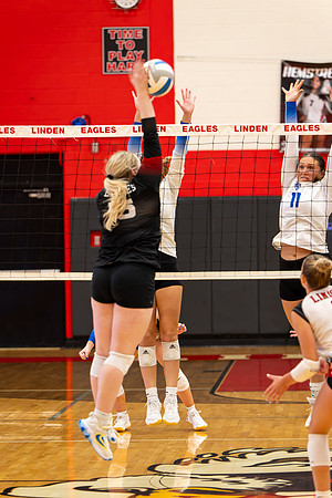 VB_LF_Linden_102325_G (52 of 259)