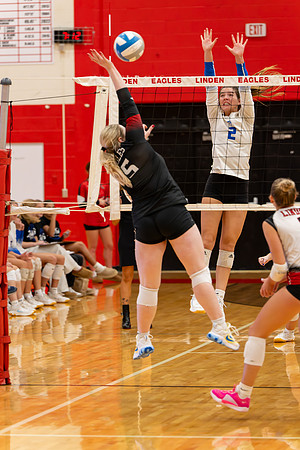 VB_LF_Linden_102325_G (53 of 259)