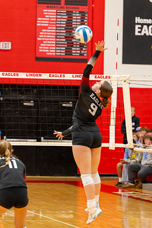 VB_LF_Linden_102325_G (56 of 259)