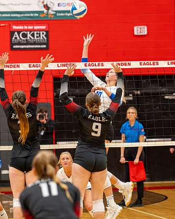 VB_LF_Linden_102325_G (58 of 259)