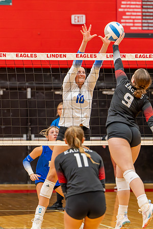 VB_LF_Linden_102325_G (59 of 259)