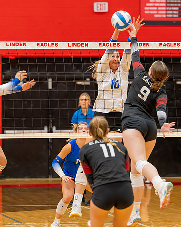VB_LF_Linden_102325_G (60 of 259)