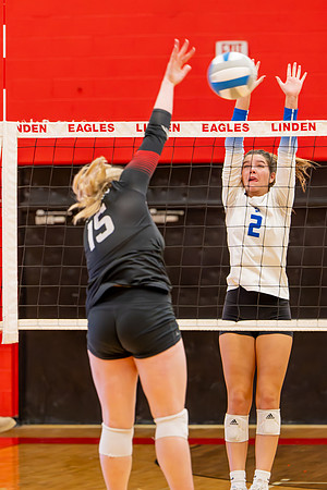 VB_LF_Linden_102325_G (61 of 259)