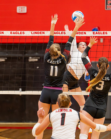 VB_LF_Linden_102325_G (65 of 259)