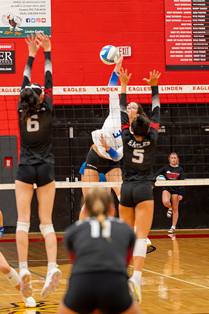 VB_LF_Linden_102325_G (62 of 259)