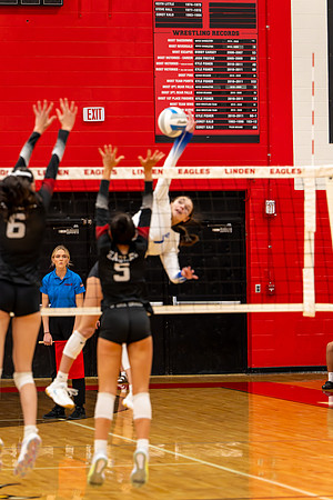 VB_LF_Linden_102325_G (63 of 259)
