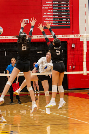 VB_LF_Linden_102325_G (64 of 259)