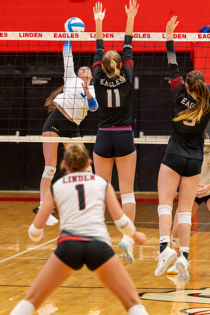 VB_LF_Linden_102325_G (66 of 259)