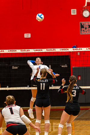 VB_LF_Linden_102325_G (67 of 259)