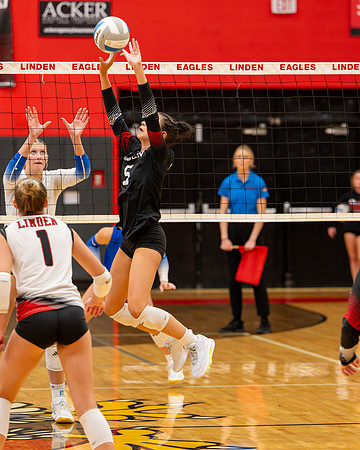 VB_LF_Linden_102325_G (70 of 259)