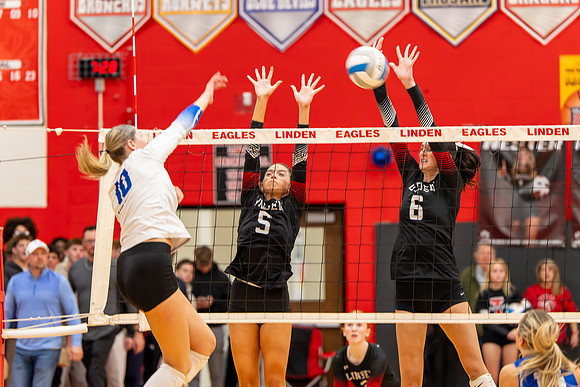 VB_LF_Linden_102325_G (75 of 259)
