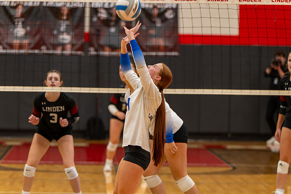 VB_LF_Linden_102325_G (80 of 259)