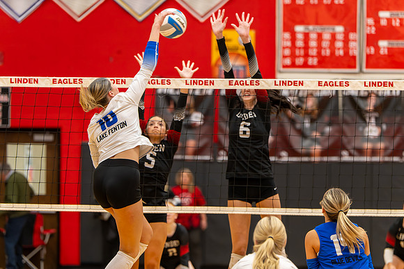 VB_LF_Linden_102325_G (79 of 259)