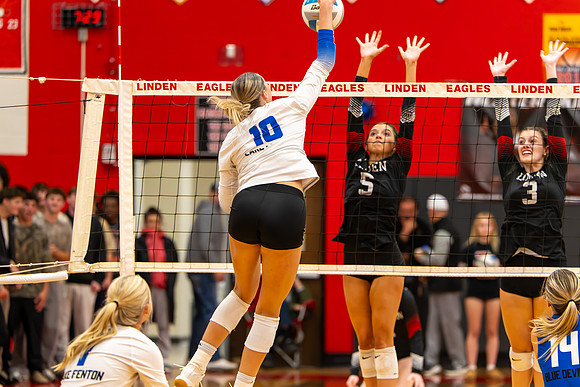 VB_LF_Linden_102325_G (81 of 259)