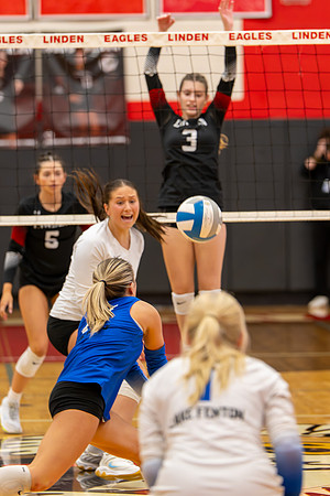 VB_LF_Linden_102325_G (84 of 259)