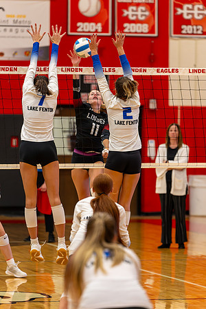 VB_LF_Linden_102325_G (89 of 259)