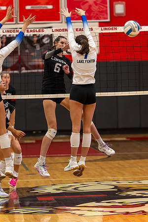 VB_LF_Linden_102325_G (96 of 259)