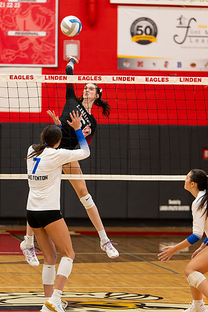 VB_LF_Linden_102325_G (97 of 259)
