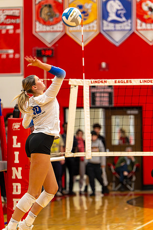 VB_LF_Linden_102325_G (100 of 259)