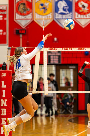 VB_LF_Linden_102325_G (102 of 259)