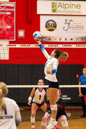 VB_LF_Linden_102325_G (104 of 259)