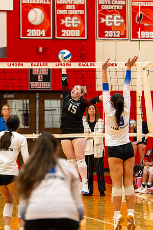 VB_LF_Linden_102325_G (103 of 259)