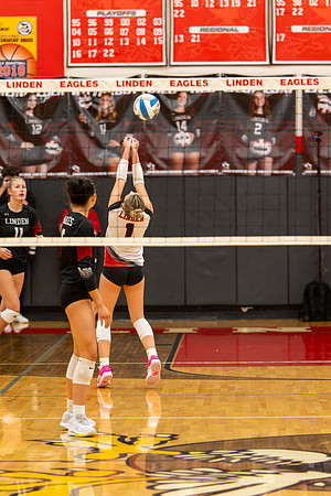 VB_LF_Linden_102325_G (107 of 259)