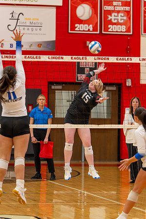 VB_LF_Linden_102325_G (110 of 259)