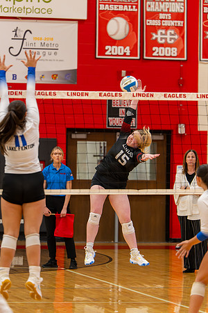 VB_LF_Linden_102325_G (111 of 259)