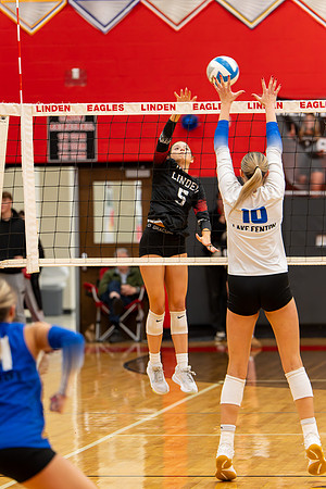 VB_LF_Linden_102325_G (128 of 259)
