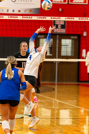 VB_LF_Linden_102325_G (132 of 259)