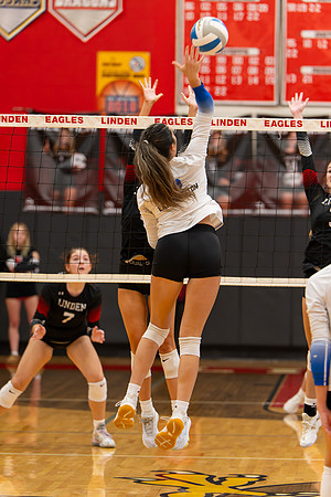 VB_LF_Linden_102325_G (134 of 259)