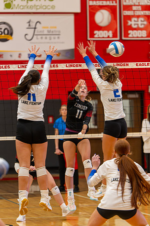 VB_LF_Linden_102325_G (133 of 259)