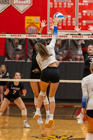 VB_LF_Linden_102325_G (135 of 259)