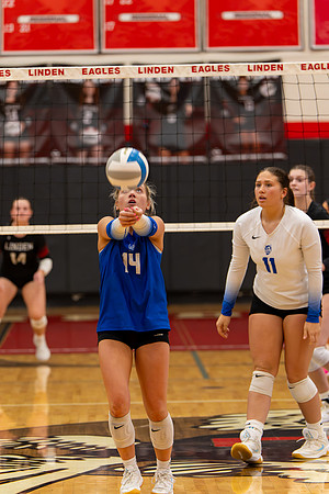 VB_LF_Linden_102325_G (140 of 259)