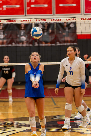 VB_LF_Linden_102325_G (139 of 259)