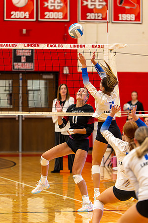 VB_LF_Linden_102325_G (141 of 259)