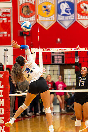 VB_LF_Linden_102325_G (142 of 259)