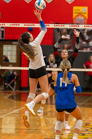 VB_LF_Linden_102325_G (144 of 259)