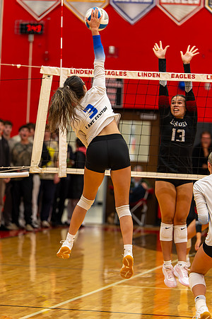 VB_LF_Linden_102325_G (145 of 259)
