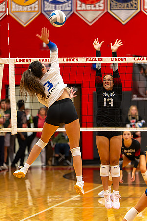 VB_LF_Linden_102325_G (148 of 259)