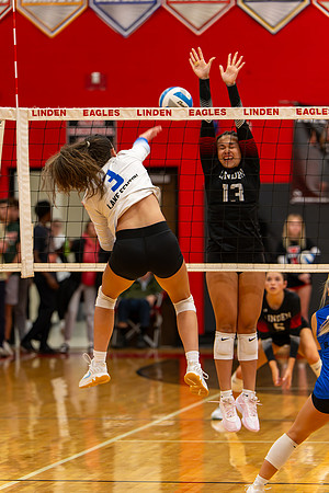 VB_LF_Linden_102325_G (149 of 259)