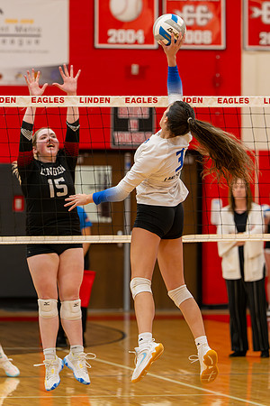 VB_LF_Linden_102325_G (155 of 259)