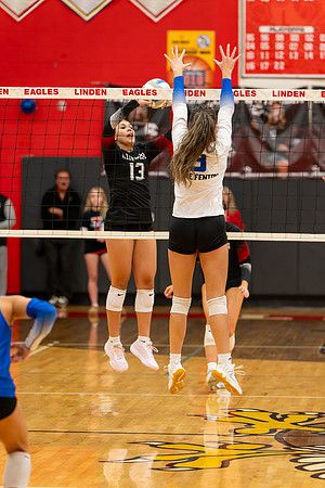 VB_LF_Linden_102325_G (152 of 259)